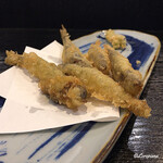 味の店 いわし - 稚鮎の天ぷら