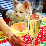 Karuizawa Hotel Soyokaze - 