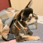 軽井沢ホテルそよかぜ - 