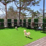 軽井沢ホテルそよかぜ - そよかぜグリーンデッキ