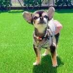 軽井沢ホテルそよかぜ - 