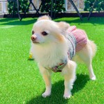 軽井沢ホテルそよかぜ - 