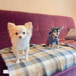 軽井沢ホテルそよかぜ - 