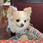 ル・ヴァンベール - 