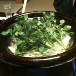 由布院 玉の湯 - スッポン鍋