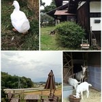 らーめんとcafe＋ベジ engawa - 