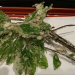 てんぷら 近藤 - コシアブラ