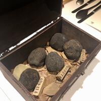 マルゴット エ バッチャーレ - 