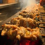 Various types Yakitori (grilled chicken skewers)