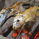 Gin No Suzu - 新鮮な魚を炭火で丁寧に焼いてくれます。