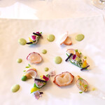 トゥールダルジャン - 春の香り〜オマール海老