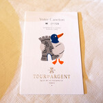 トゥールダルジャン - ２７１７２９羽目の幼鴨