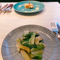 CINA New Modern Chinese - 