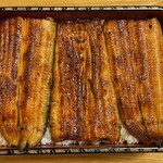 鰻はし本 - 横山さんの鰻のうな重は