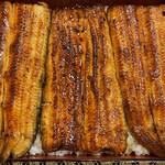 鰻はし本 - 横山さんの鰻のうな重は