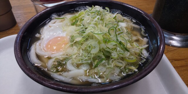 きっちょううどん 橘通店 宮崎 うどん 食べログ きっちょううどん 橘通店 宮崎 うどん 食べログ
