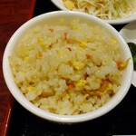 Kenkou Chuukaan Seiren - 半炒飯