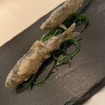 アルヴェアーレ - 