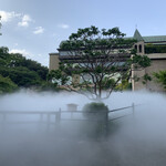 Makudonarudo - 椿山荘、ただ今、開催中の雲海タイム...