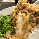 Tendon Tenya - 