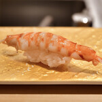 鮨 青海 - 車海老