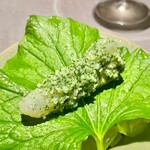 茶禅華 - 2021.5.  山葵海蜇