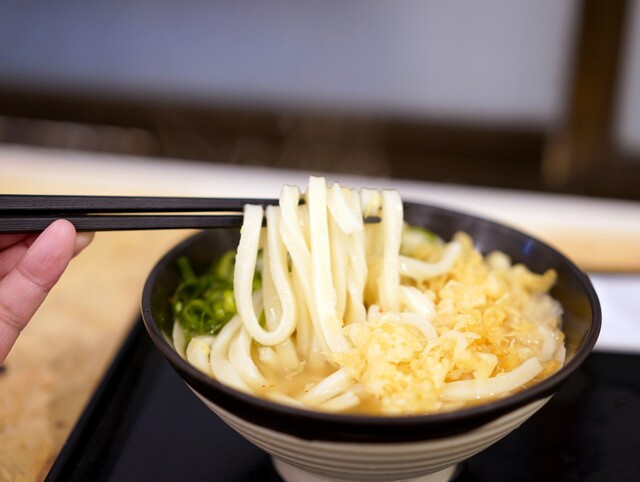 udonyaさん返金 Closed]Sanuki Moto Hiro Udon - Yotsuya Sanchome/Udon (Wheat