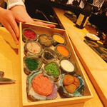 Sushi Shizuku - 