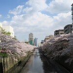 鮨たか 下高井戸旭鮨総本店 - 目黒川の桜