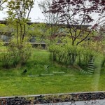 日本料理 新樹 - 外kesiki の