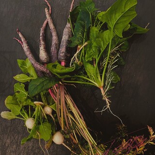 Taste the specialties of carefully grown vegetables from our own farm.