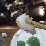 お好み焼き 福竹 - 身はプリップリで、バターの旨味と適度な塩気、そして香ばしさが旨い！