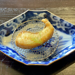 Shikinoya Ayagura - 魚を揚げたヤツ