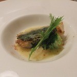 コルツ - 2012/10　ソイ。パパロット