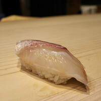 鮨処 つく田 -  鮨処 つく田 -