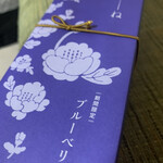 京都祇園あのん - byゼッペキ