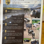 とんかつ 栄ちゃん - 