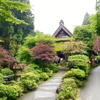 うかい鳥山 - 