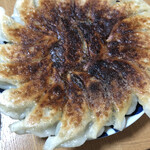 生餃子専門店 ぽんぽこ - 外はカリカリ、中はしっとりで美味い！