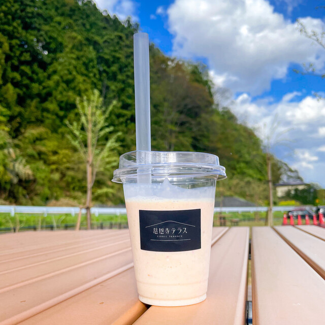 寺そば・寺カフェ 慈恩寺テラス内（羽前高松）- 山形の本格そばとくつろぎ空間