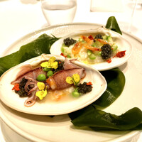 レフェルヴェソンス - 