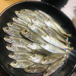 温石 - 地物の豆鰺。これよりさらに大きいものはスーパーで良く見かけますが、ここまでのミニ豆鯵はやはり地元じゃないとお目にかかれません