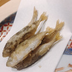 温石 - 五尾のミニ豆鯵が仲良く並びます。もうね、お酒を止める術が有りません