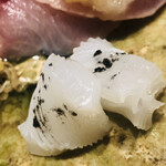 温石 - 旬の泥障烏賊。黒いのはこの個体の墨で作った墨塩