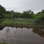 メゾン ケイ - 窓からの景色。
      暗くなると、カエルの鳴き声が聞こえました。
      なんか、ほのぼの～。