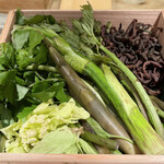 神楽坂 石かわ - 