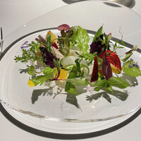 レフェルヴェソンス - 