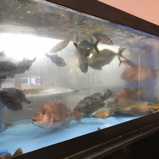 回転割烹 寿司御殿_2