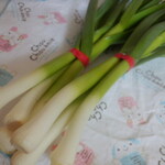 松原農園 - ニンニク