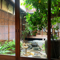 雪梅花 菜根譚 - 